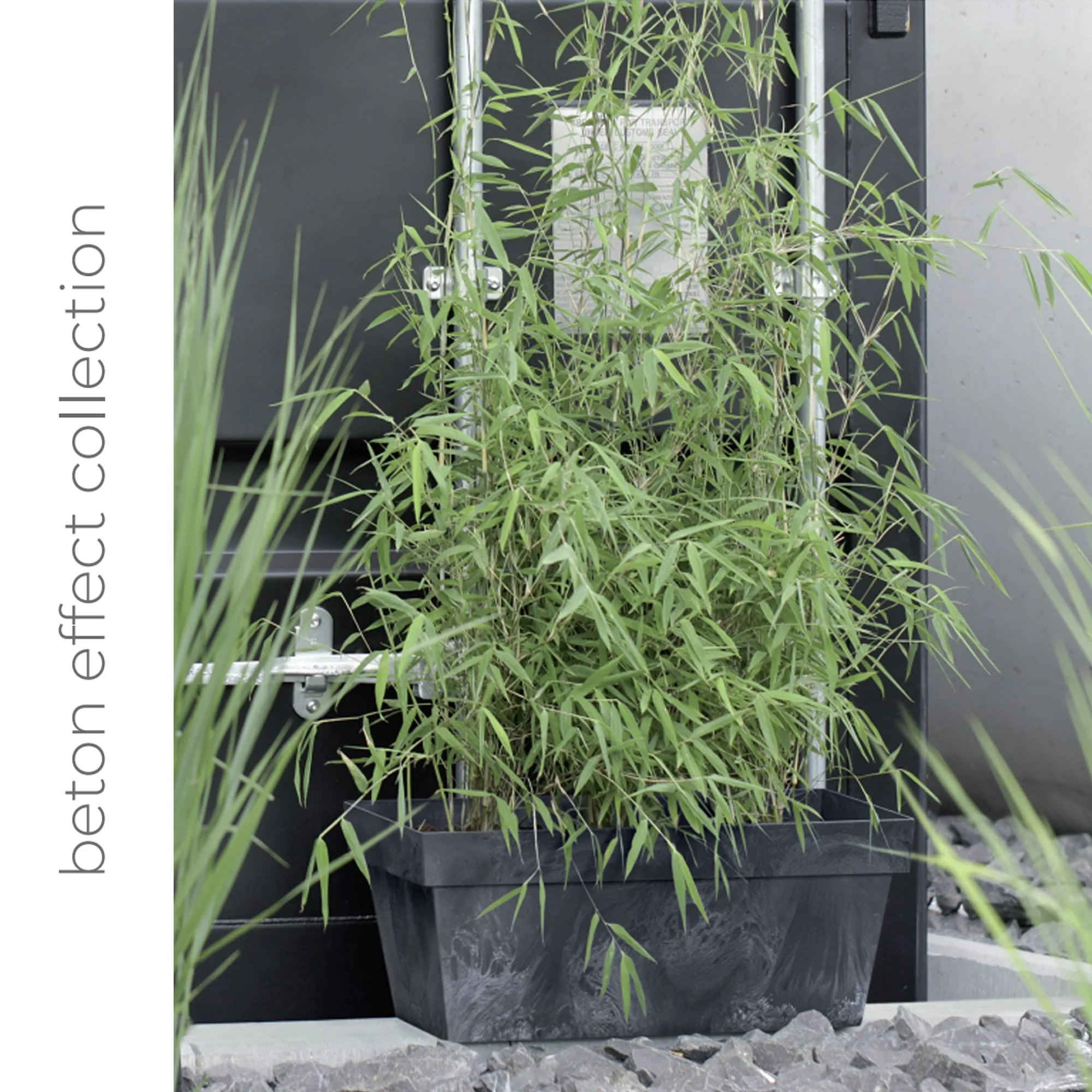 Maceta Cube Beton Effect 2,2l., Dimensiones (mm) 170x170x150, Color Crema - Image 2